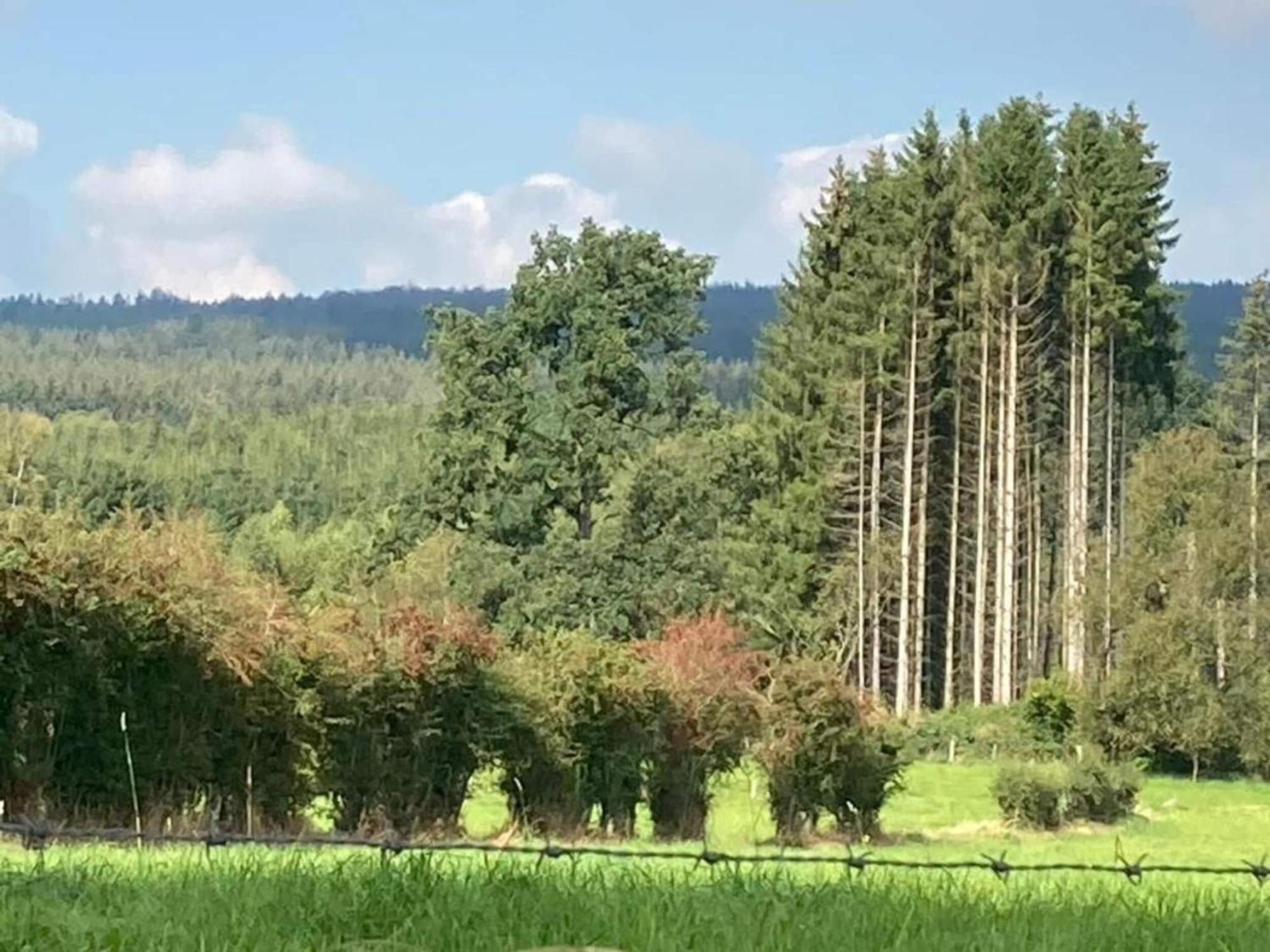 Quaint In Mont Near High Fens Nature Park Malmedy